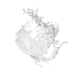 Milkshake Style Neutral / 600g