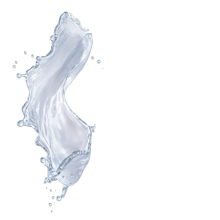 Splash Image