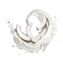 Coconut Milk / 50g Probe